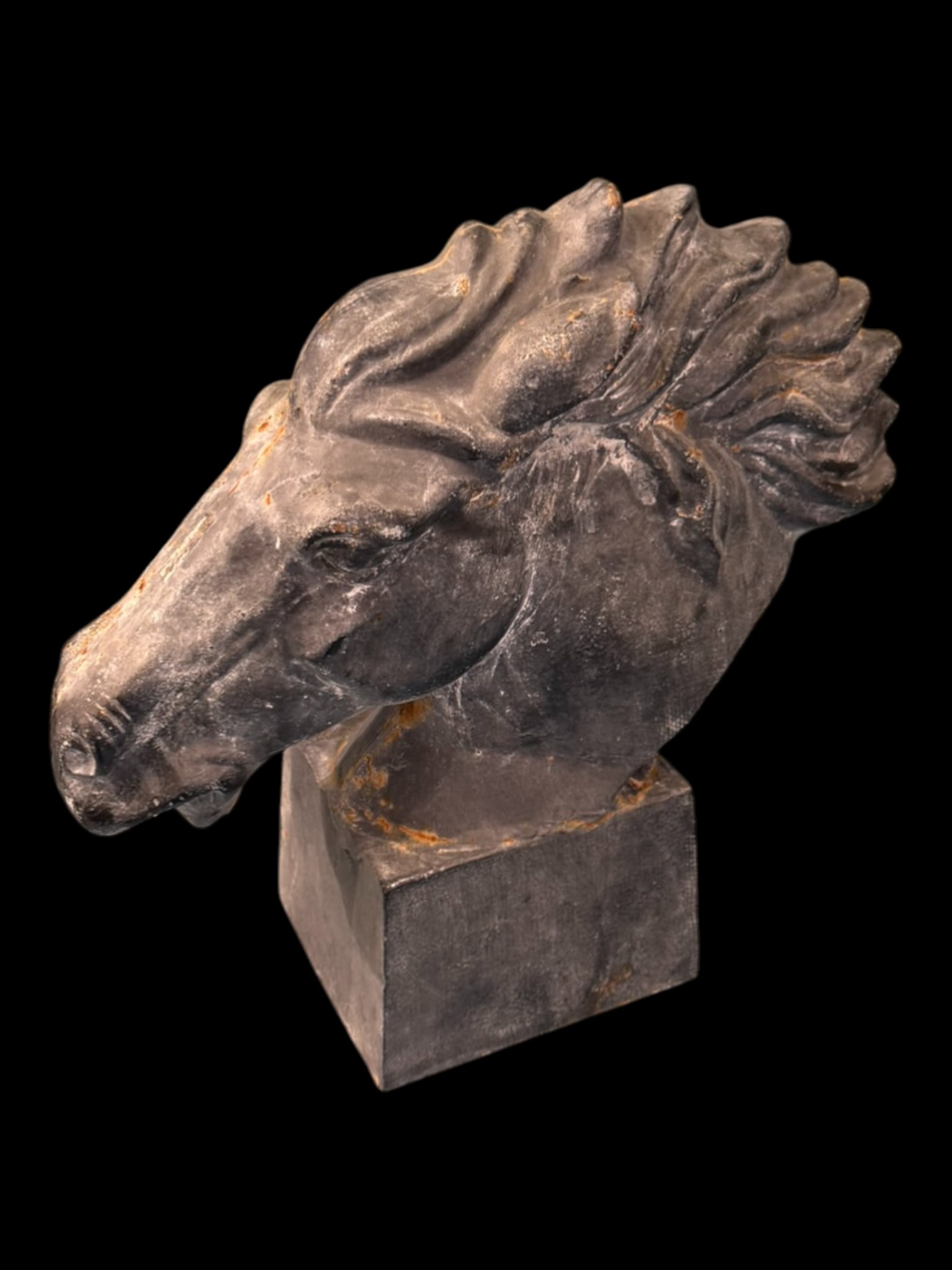 Cast Iron Horse Head (1 of 1)