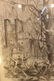 Steel engraving of W.B. Terry Riverboat - 2