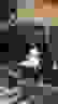 item-49575347=6