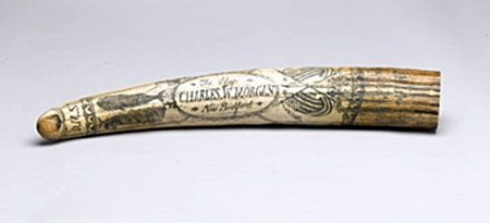 Large Scrimshaw Tusk (8714): (designs may vary) (pc), Dimensions : 18.00H 3.00W 1.00D