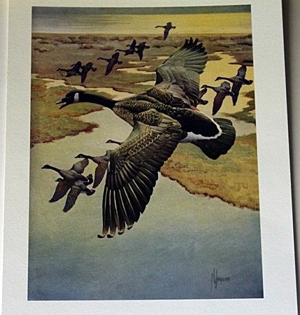 "Armada" Signed by Francis Lee Jaques: Lithograph, Signed by the artist, Approximately 12 x 9 1/2 In.