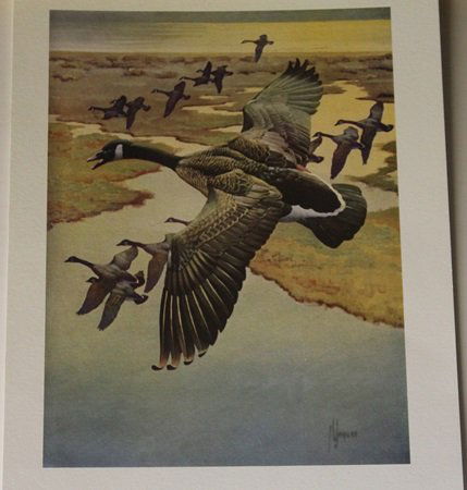 "Armada" Signed by Francis Lee Jaques: Lithograph, Signed by the artist, Approximately 12 x 9 1/2 In.