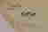 item-31366317=3