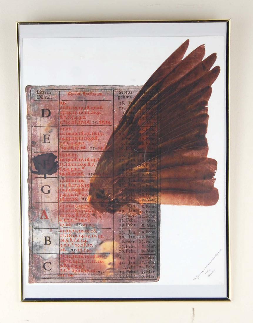 Surreal Contemporary Bird Wing Ghostly Girl face (1 of 1)