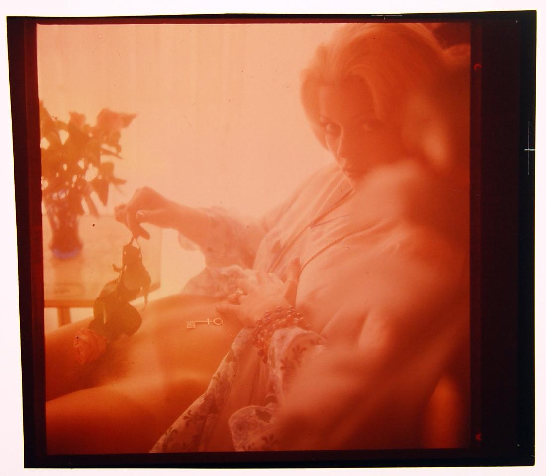 Nude Penthouse 1972 Janet Dunphy Chrome Negative: Original Janet Dunphy by Bob Guccione Chrome Negative 1972. The other picture is just to show a similar negative was used in her pictorial. does not come with the magazine.