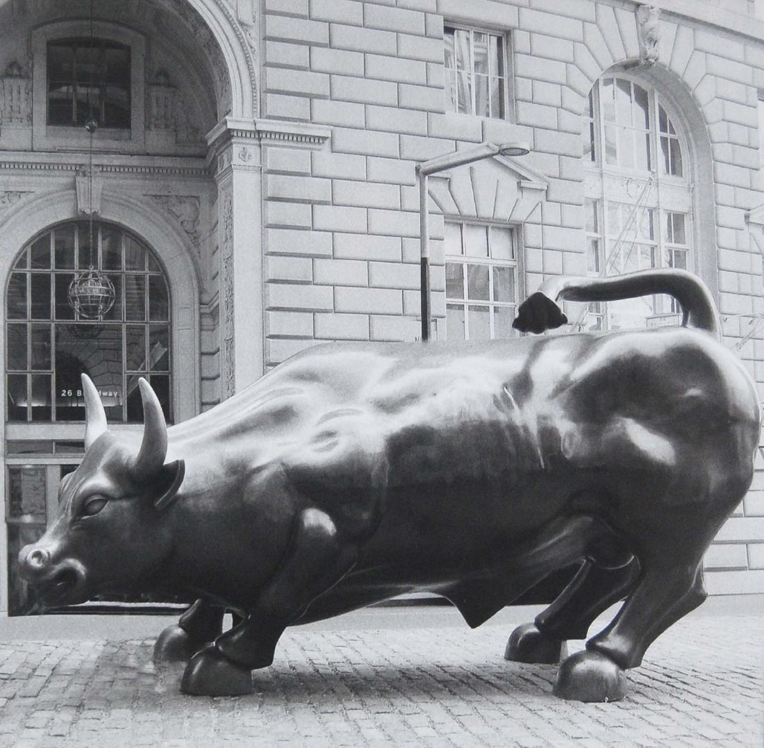 Giant New York City Bull Ox Statue Print (1 of 3)