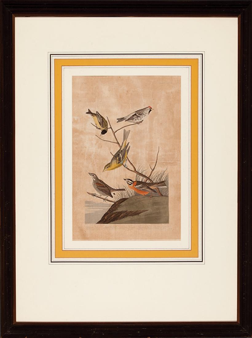 John James Audubon (American, 1785-1851): John James Audubon (American, 1785-1851), "Arkansas Siskin, Mealy Red-Poll, Louisiana Tanager, Townsend's Bunting, Buff Breasted Finch", Plate 400, "J. Whatman/1837" watermark, and "Black Yellow Warbl