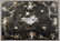 0025: Good Set of Early Victorian Papier-Mache, Moth - 3