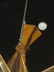 Italian Glass and Gold-Plate Metal Chandelier - 8