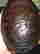 item-4259567=5