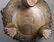 Chinese Patinated Bronze Covered Tripod Censer - 4