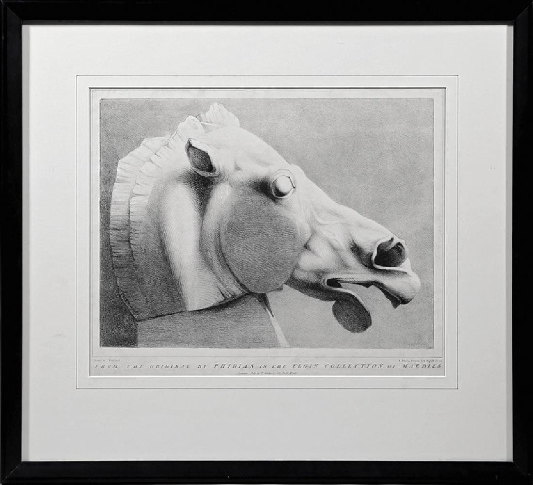 Print of a Horse's Head After Marble by Phidias (1 of 1)