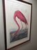 After John James Audubon (American) - 2