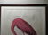 After John James Audubon (American) - 6