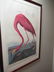 After John James Audubon (American) - 7
