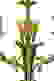item-80680634=2