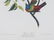 John James Audubon (American, 1785-1851) - 2