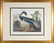John James Audubon (American, 1785-1851)