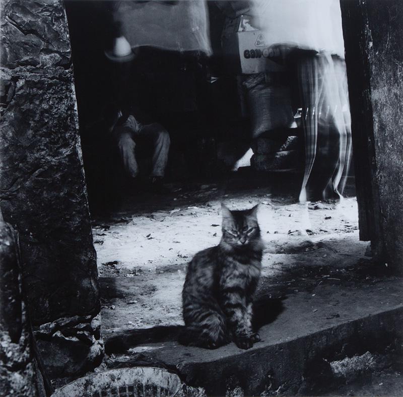 Debbie Fleming Caffery (American/Louisiana) (1 of 3)