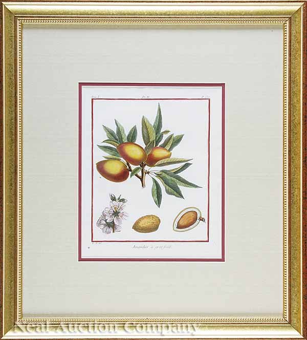 Duhamel du Monceau Eight Engravings of Fruits