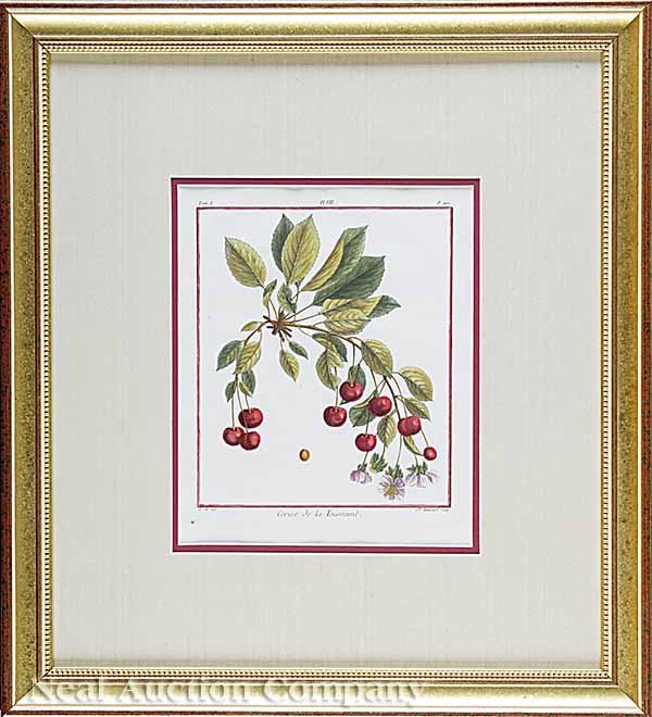 Duhamel du Monceau Eight Engravings of Fruits - 2