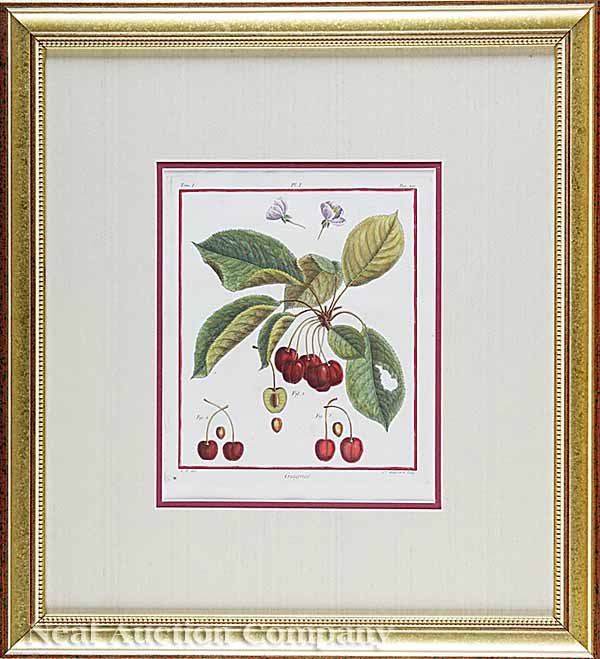 Duhamel du Monceau Eight Engravings of Fruits - 3