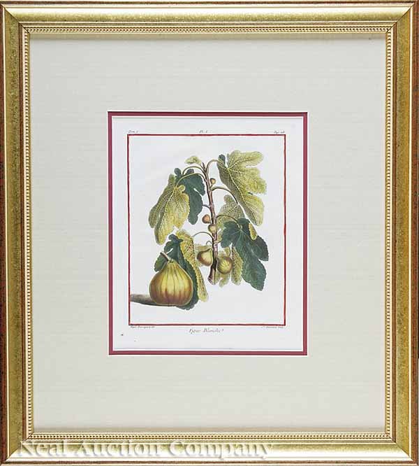 Duhamel du Monceau Eight Engravings of Fruits - 5