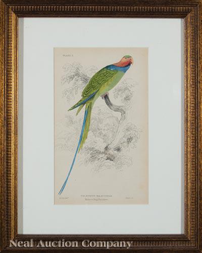 Edward Lear (British, 1812-1888): Edward Lear (British, 1812-1888) , "Platycerucus Pennantii", "Palaeormis Malaccensis", "Charmosyna Papuensis", "Arara Patagonica" and "Palaeornis Alexandri", c. 1831, 5 hand-colored lithographs, from