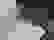 item-5981787=3