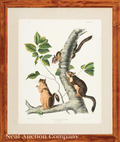 John James Audubon (American, 1785-1851) (1 of 2)
