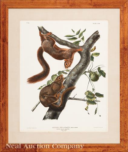 John James Audubon (American, 1785-1851) (1 of 2)