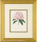 0062: Eight Antique Hand-Colored Engravings of Flowers