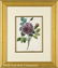 0062: Eight Antique Hand-Colored Engravings of Flowers - 3