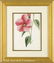 0062: Eight Antique Hand-Colored Engravings of Flowers - 4