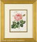 0062: Eight Antique Hand-Colored Engravings of Flowers - 7