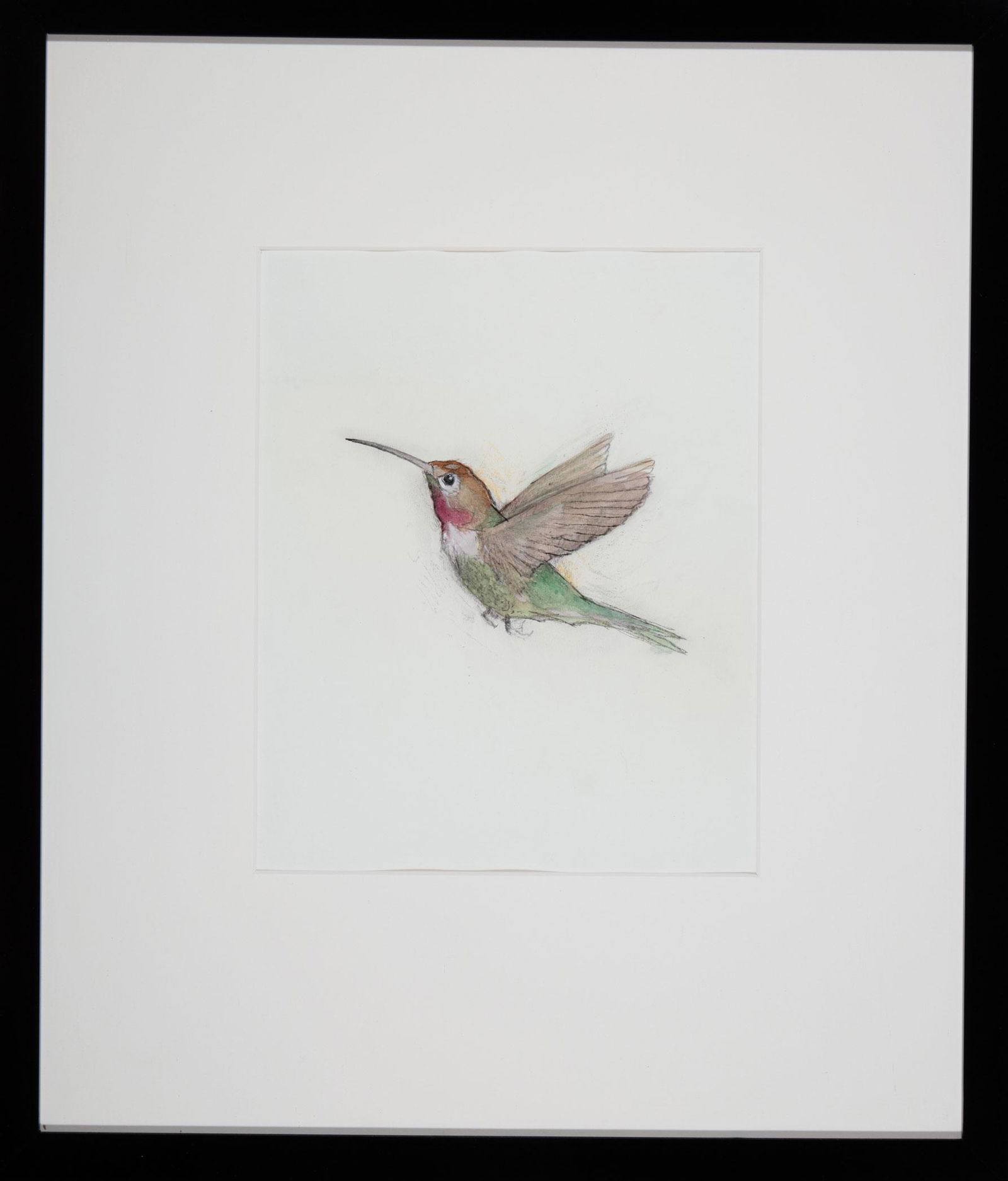 John Alexander (American/Texas, b. 1945): John Alexander (American/Texas, b. 1945) , "Ogden Hummingbird", watercolor and graphite on paper, pencil-signed lower right, titled lower left, pencil-signed and titled en verso, 11 in. x 8 1/2 in., f