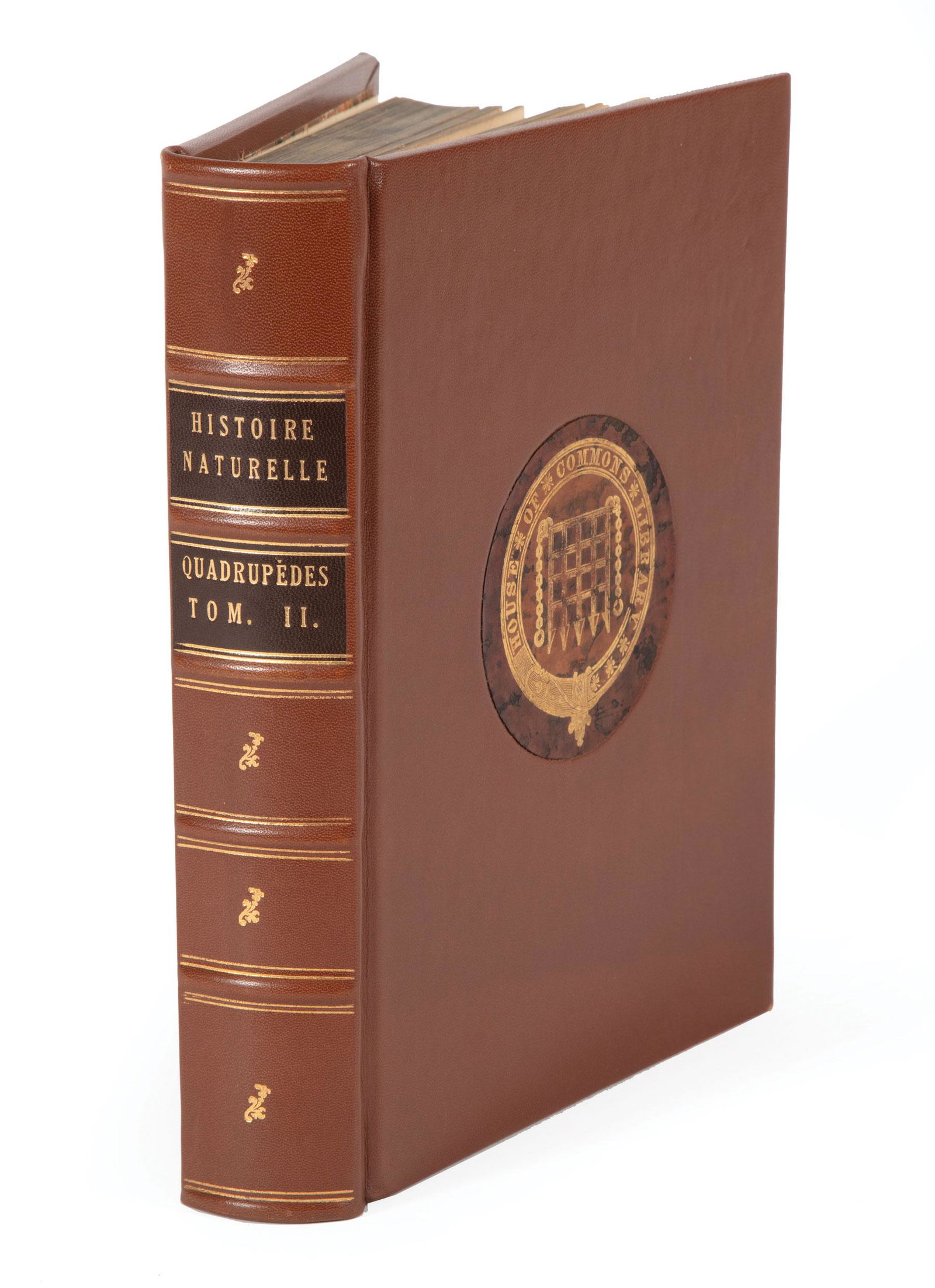 Antique French Dog and Cat Engravings (1 of 9)