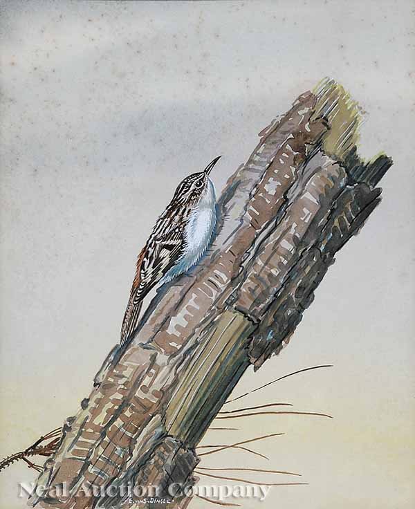 Edward von Siebold Dingle (American/S.C.): Edward von Siebold Dingle (American/South Carolina, 1893-1975) , "Creeper", watercolor, signed lower left, sight 11 in. x 9 in., matted and in an antique wood veneer frame