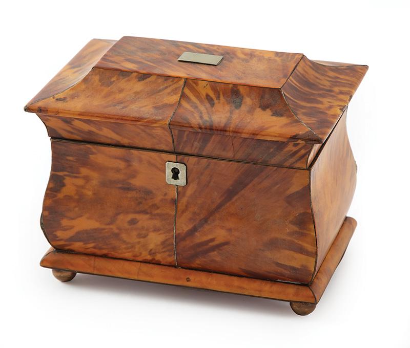 William IV Tortoiseshell Tea Caddy (1 of 7)