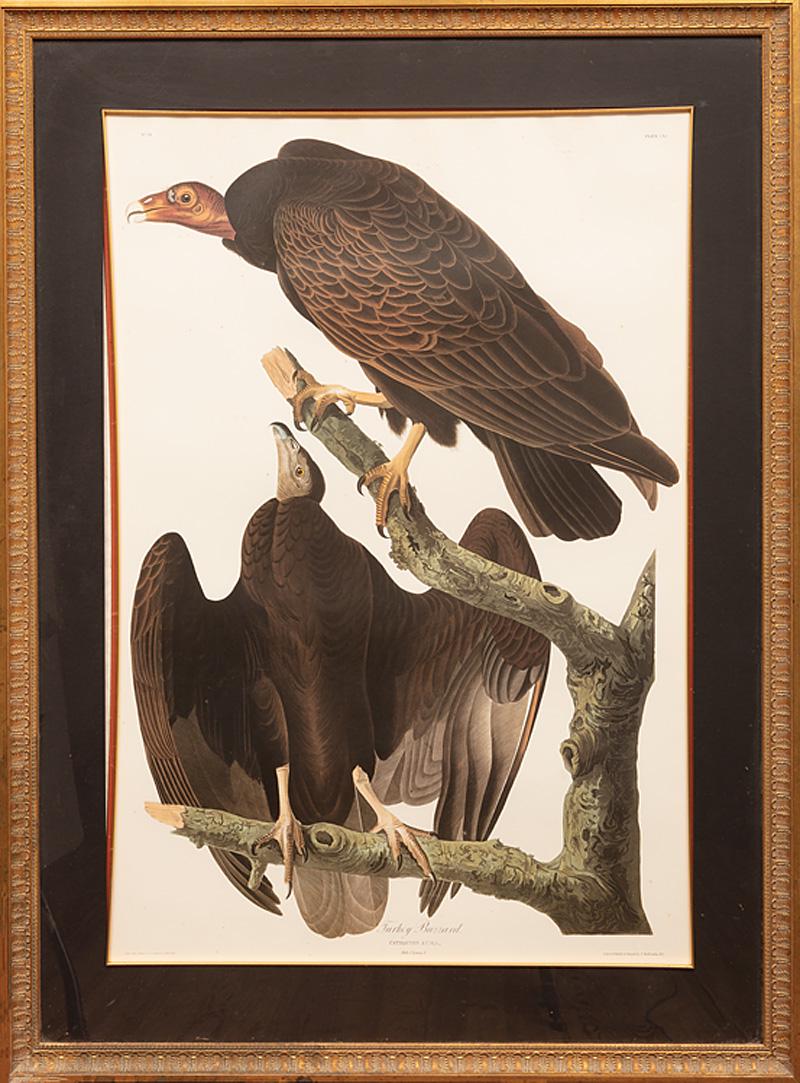 After John James Audubon (American, 1785-1851) (1 of 2)