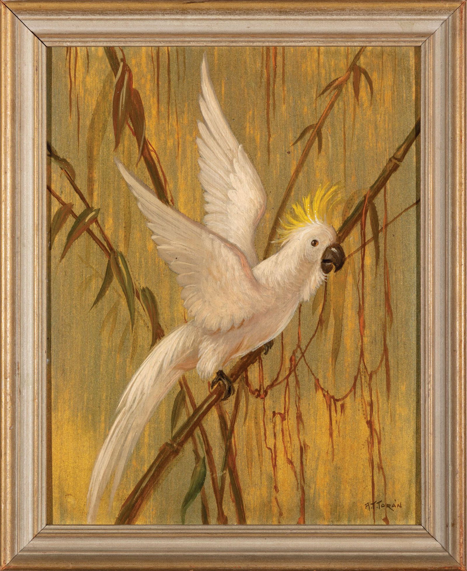 Alfonso T. Toran (Italian/American): Alfonso T. Toran (Italian/American, 1896-1965) , "Cockatoo", oil on masonite, signed lower right, 10 in. x 8 in., framed Condition: Light scattered accretions; very light scattered scratches; very lig