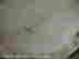 item-6999046=8