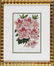 0942: Eight Antique Botanical Prints of Azaleas