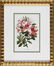 0942: Eight Antique Botanical Prints of Azaleas - 8