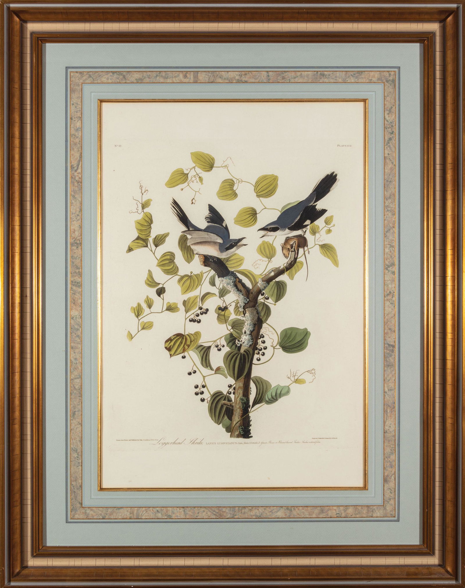 John James Audubon (American, 1785-1851) (1 of 3)