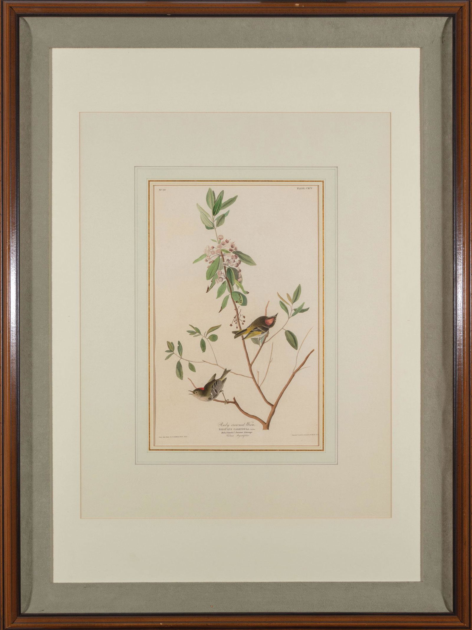 John James Audubon (American, 1785-1851) (1 of 3)