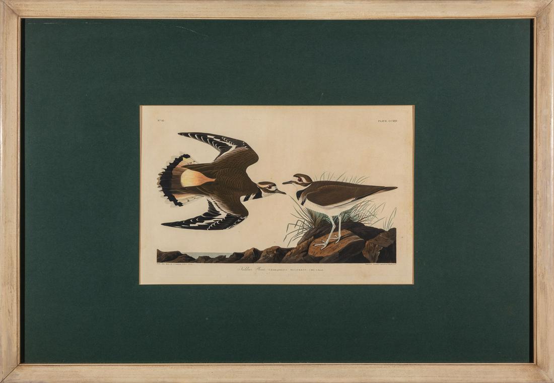 John James Audubon (American, 1785-1851) (1 of 4)