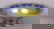 0485: Rare Signed Tiffany Studios Favrile