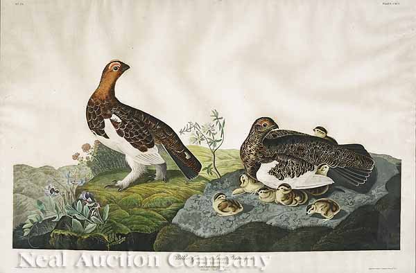 After John James Audubon (American, 1785-1851): After John James Audubon (American, 1785-1851), "Willow Grouse or Large Ptarmigan", No. 39, Plate CXCI, hand-colored engraving, Havell edition, from Birds of America, the elephant folio paper watermar