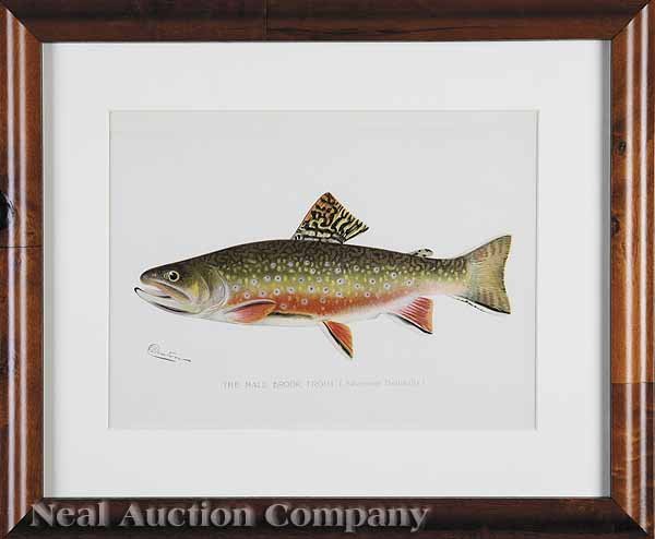 After Sherman F. Denton (American, 1856-1937): After Sherman F. Denton (American, 1856-1937), six chromolithographs of fish, c. 1900, from Fish and Game of the State of New York, 1895-1907, sight 9 3/8 in. x 12 in., attractively matted and framed